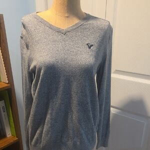 American Eagle Outfitters Heathered Gray V-Neck Sweater